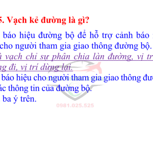 Cẩm nang 600 câu hỏi sát hạch lái xe