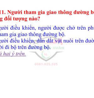 Cẩm nang 600 câu hỏi sát hạch lái xe