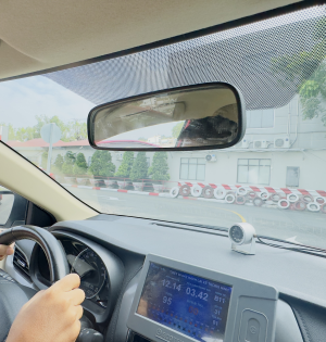 Hình ảnh thực tế đào tạo lái xe 2025