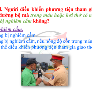 Đào tạo Lái xe Minh Xuân 600 câu dễ hiểu
