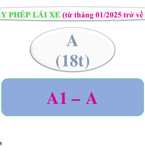 Đào tạo Lái xe Minh Xuân 600 câu dễ hiểu
