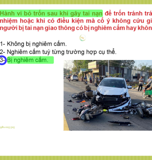 600 câu hỏi GPLX cẩm nang