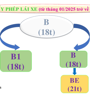 Đào tạo Lái xe Minh Xuân 600 câu dễ hiểu
