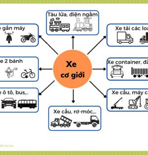Cẩm nang 600 câu hỏi sát hạch lái xe
