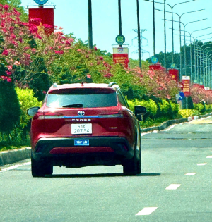 Hình ảnh thực tế đào tạo lái xe 2025