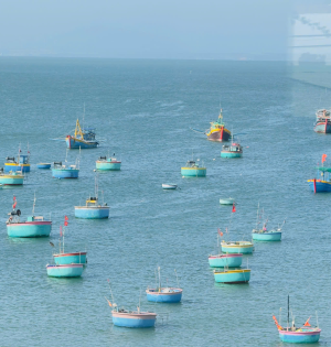 H&igrave;nh ảnh thực tế đ&agrave;o tạo l&aacute;i xe Minh Xu&acirc;n 2026