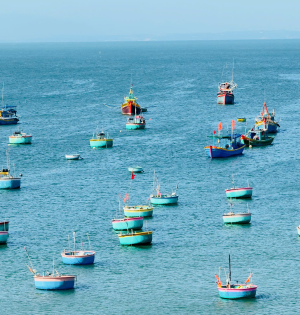 H&igrave;nh ảnh thực tế đ&agrave;o tạo l&aacute;i xe Minh Xu&acirc;n 2026